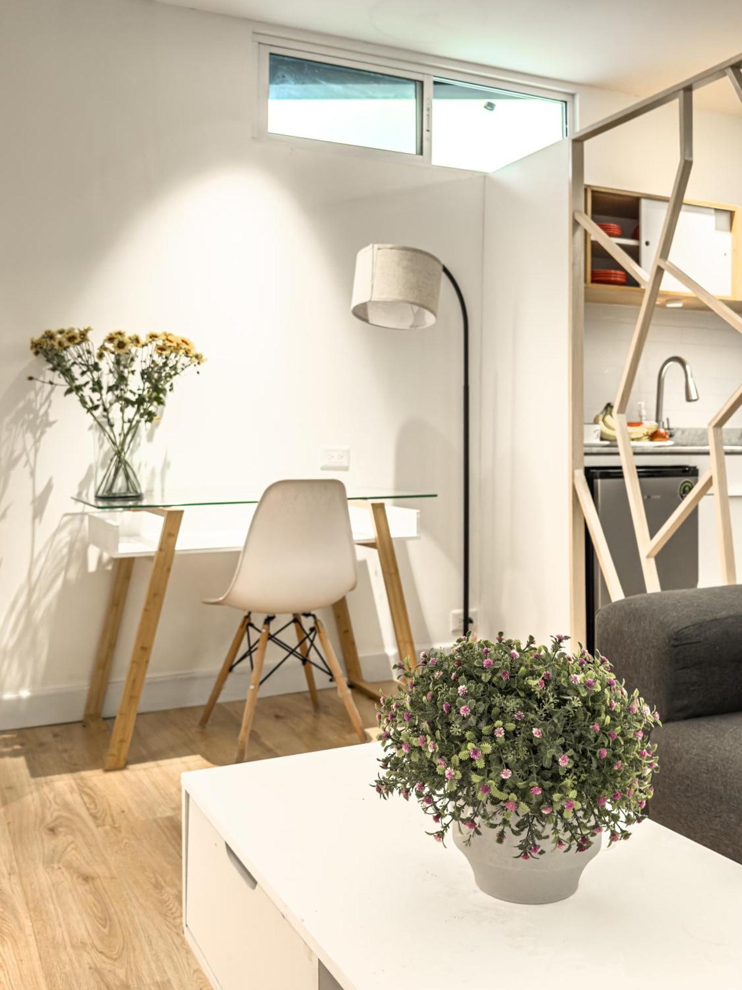 מקסיקו סיטי Cute Quiet Studio, Smart Tv, Six Flags 1 Km מראה חיצוני תמונה